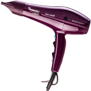 سشوار PRINCELY مدل PR250AT