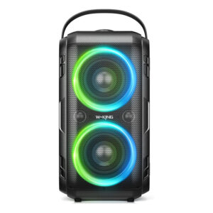 اسپیکر بلوتوثی دبلیو کینگ ا W-KING T9-2 Speaker